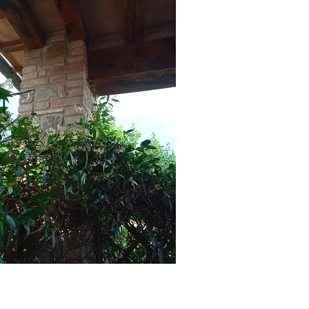 아파트 La Casa Di Chianni La Pieve 2 *
